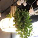 하나로꽃집 이미지