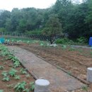 예담농장 이미지