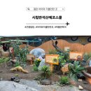 반석산에코스쿨 | 동탄 아이와 가볼만한 곳, 시립반석산에코스쿨에서 재미있게 관람 후기