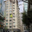 강남구 삼성로85길 이미지