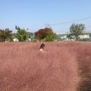 제이드826커피 이미지