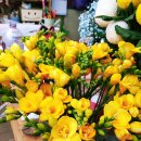 백송이꽃화원 | 화이트데이.생일 기념일에 선물하기 좋은 봄꽃 [미스플라워]