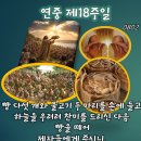 2026-08-02연중 제18주일＜사람들은 모두 배불리 먹었다.＞ 이미지