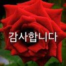 행운 Daum카페