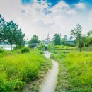 뚝섬한강공원-28 이미지