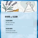 시에이푸른신화 이미지