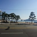 부산 광안리 뷰 맛집 내돈내산 방문기 [광안리전망대오륙도횟집]