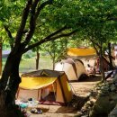 무릉도원면-33 이미지