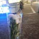 저잣거리 (돼지부속) 이미지