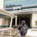 종로-신교-종로-신-155 | [대구 여행 1일차] 비슬산 등산 후 먹는 생고기, 또간집 맛집 대구 ‘왕거미식당’ 솔직 후기!