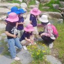 남원유치원 이미지