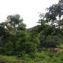 송금리할머니경로당 이미지