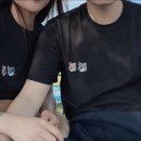 코튼폭스 이미지