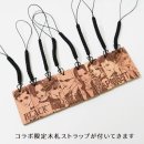 나나(NANA) | XRAGE X NANA 나나 콜라보 의류 주문 후기 (눈물의 똥꼬쇼)