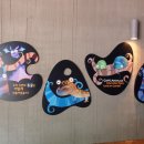 영월동굴생태관 이미지