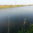 동강민물매운탕 이미지