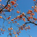 대전2리경로당 이미지