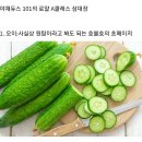 자유야채 이미지