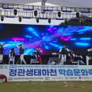 무혼 태권도 네이버블로그
