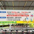 신정호국민관광지 대여소 이미지