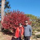 정원유기농영농조합법인 이미지