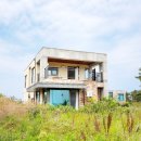 협재리체 이미지