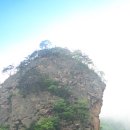 진부령 목장 이미지