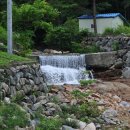 검태회관 Daum카페
