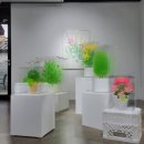 엠에치케이 이미지