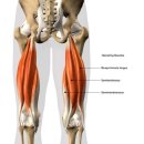 더 피지컬PT 이미지