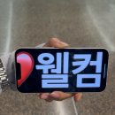 LG메트로작은쌈지도서관 | 시애틀에서 여름휴가를 ☀️🕶️🍉