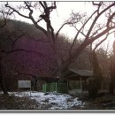 거목경로당 이미지