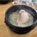 약전삼계탕 | 대구약령시 약전삼계탕 내돈내산 후기