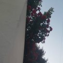 장미아파트 관리사무소 이미지