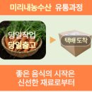 미리내 제주 | CCT주스 만들어 먹은지 3개월차, 제주구좌 당근 추천! 미리내농수산 당근 후기