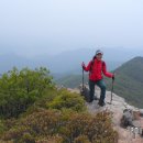 가지산 - 중구 | 가지산