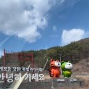 와룡천 캠핑장 | 영월 캠핑장 추천 나만 알고싶은 와룡천캠핑장 애견동반가능