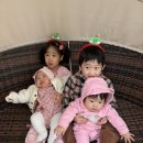 모래벌농장 | 팜팜놀이터 딸기농장 매년 아기랑 방문하는 딸기체험