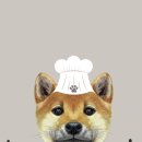 네발총총 이미지