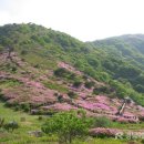 의령정비 이미지