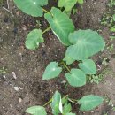 산모음 민박 이미지