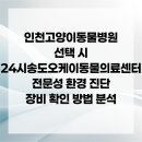 24시위드동물병원(정왕동동물의료센터) | 인천고양이동물병원 선택 시 24시송도오케이동물의료센터 전문성 환경 진단 장비 확인 방법 분석