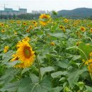 이영규농장 이미지