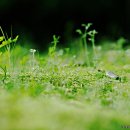 대지-생명 이미지