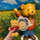 토리프로젝트 | 아일랜드 프로젝트 제주공항 팝업스토어 후기(ft.제주기념품 추천)