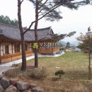 지리골길 Daum카페