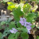 상용농장 이미지