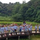 푸른숲유치원 이미지