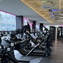 산곡 애견사랑 | 산곡동 헬스장 PT, 프리미엄 시설을 합리적으로! 피트니스연구소 부평산곡점