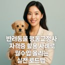 (주)펫스테이션 | 반려동물 행동교정사 자격증 활용 사례로 월수입 올리는 실전 로드맵